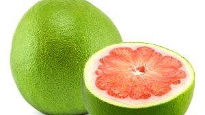 svg+xml,%3Csvg%20viewBox%3D%220%200%201920%201080%22%20xmlns%3D%22http%3A%2F%2Fwww